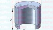 Piston, etrier frana TOYOTA RAV 4 IV (WWA4, AVA4, ...