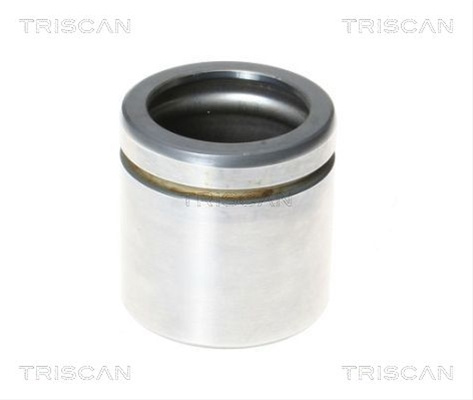 Piston, Etrier Frana Triscan 8170 235478