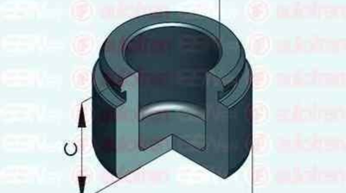 Piston, etrier frana VW TOUAREG (7LA, 7L6, 7L7) AUTOFREN SEINSA D025407