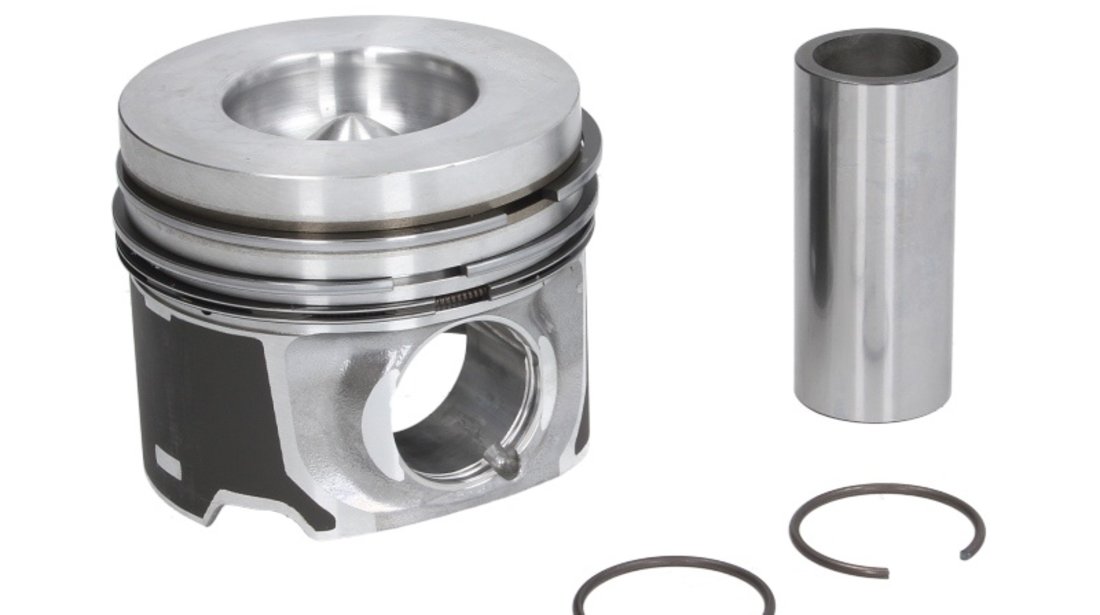 Piston Nural Audi A4, A6, A8 ,Q7 , VW Phateon, VW Touareg