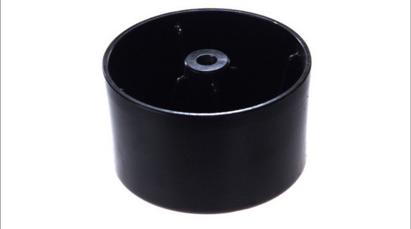 Piston perna de aer MAN LION´S STAR 81.43603.0055BP