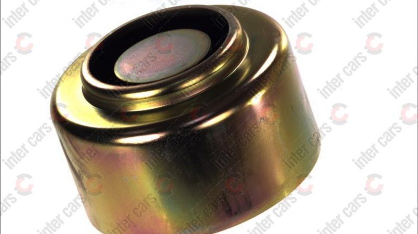 Piston perna de aer Producator BPART TYP 19/PD