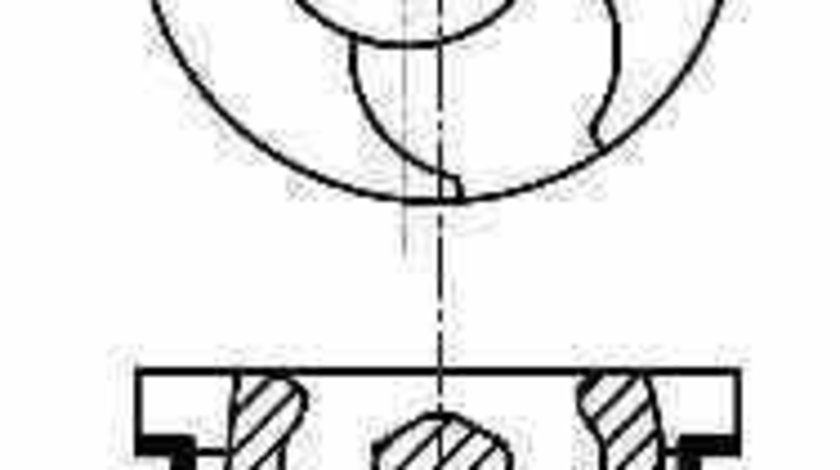 Piston RENAULT KANGOO Express FC0/1 NÜRAL 87-101500-00