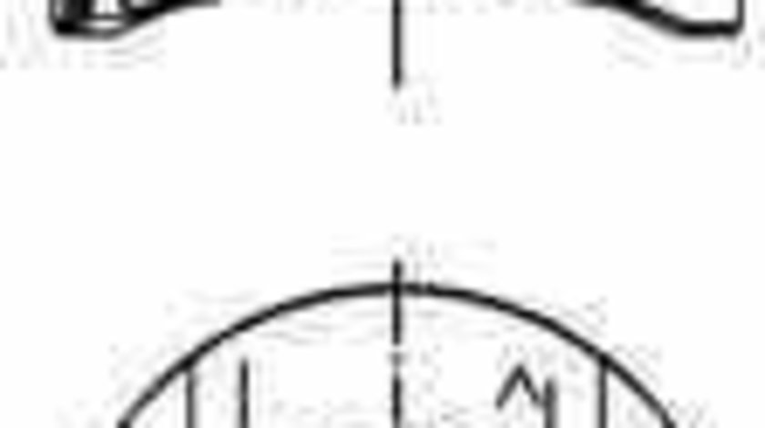 Piston RENAULT TRAFIC II platou / sasiu EL KOLBENSCHMIDT 40262600