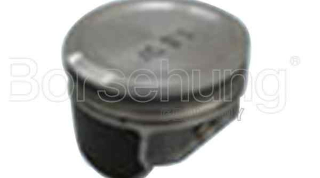 Piston SEAT IBIZA IV (6L1) Borsehung B13580