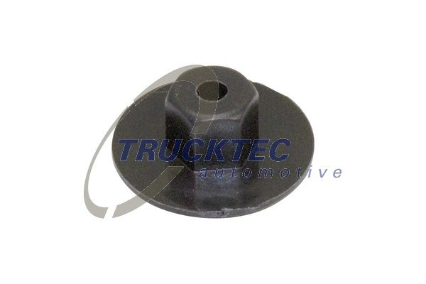 Piulita (0267189 TRUCKTEC)