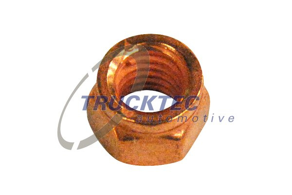 Piulita (0810107 TRUCKTEC)