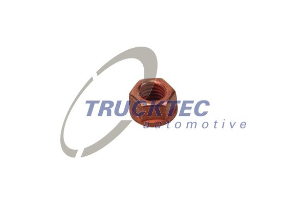 Piulita (0839054 TRUCKTEC)
