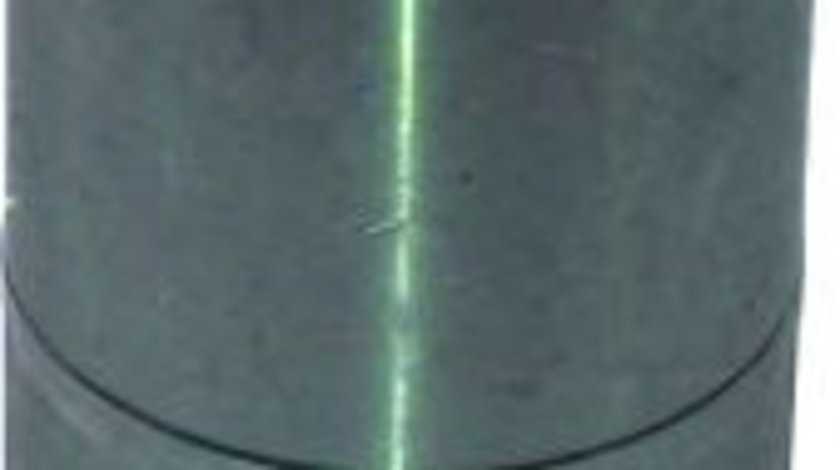 Piulita ax, planetara RENAULT SCENIC II (JM0/1) (2003 - 2009) BIRTH 3394 piesa NOUA