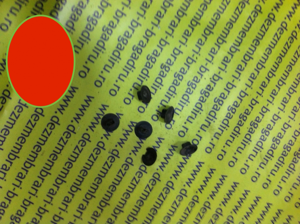 Piulita plastic Renault Scenic 2 [2003 - 2006] Minivan 5-usi 1.4 MT (98 hp) II (JM0/1_)