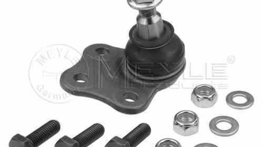 Pivot Articulatie sarcina ghidare RENAULT SCÉNIC III JZ0/1 MEYLE 16-16 010 0014