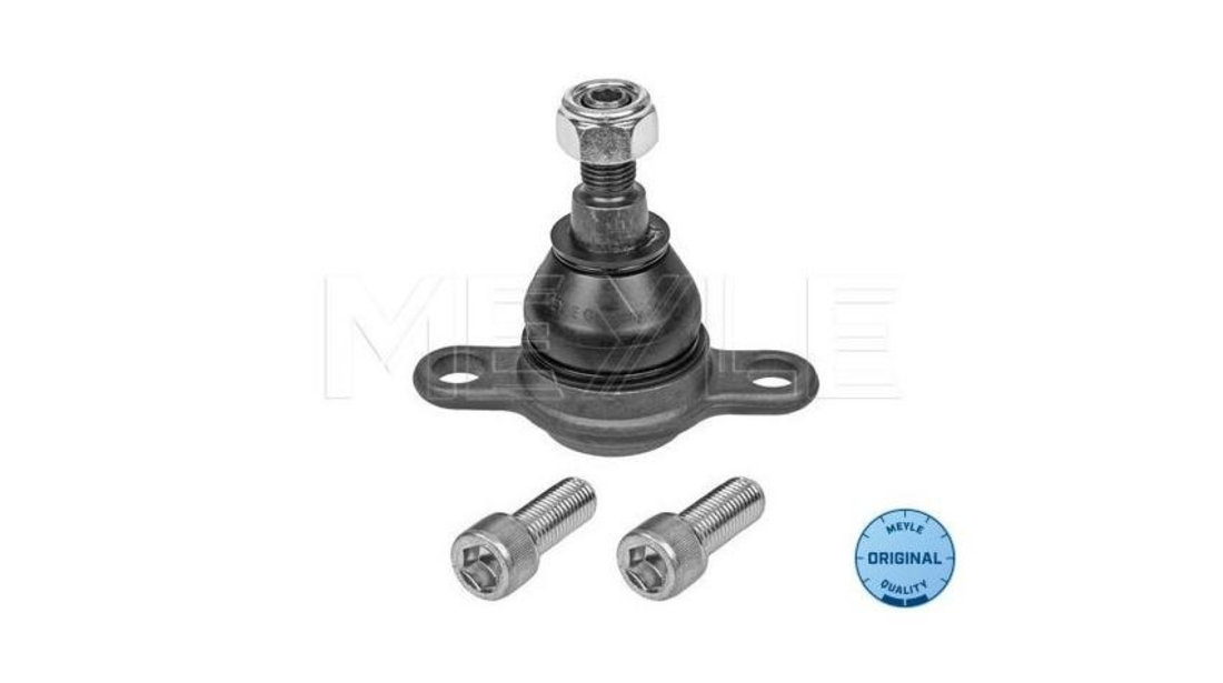 Pivot Volkswagen VW MULTIVAN Mk V (7HM, 7HN, 7HF, 7EF, 7EM, 7EN) 2003-2016 #2 0404336