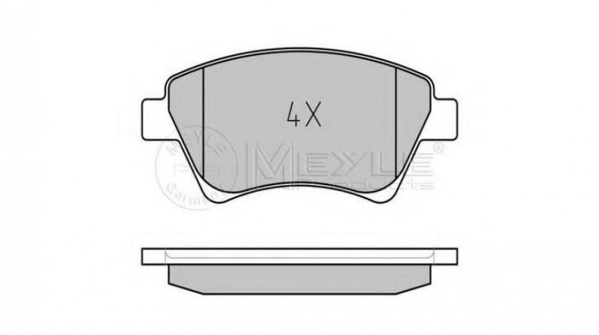 Placute frana Renault MEGANE II (BM0/1_, CM0/1_) 2002-2011 #2 0252393018