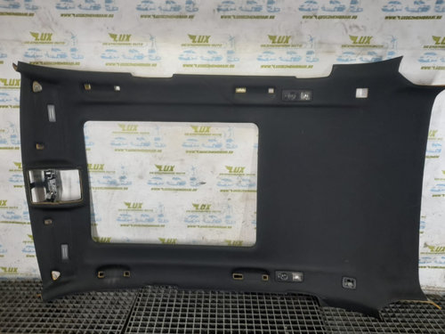 Plafon 15671810 BMW X5 E70 [2006 - 2010] 3.0 d M57N2