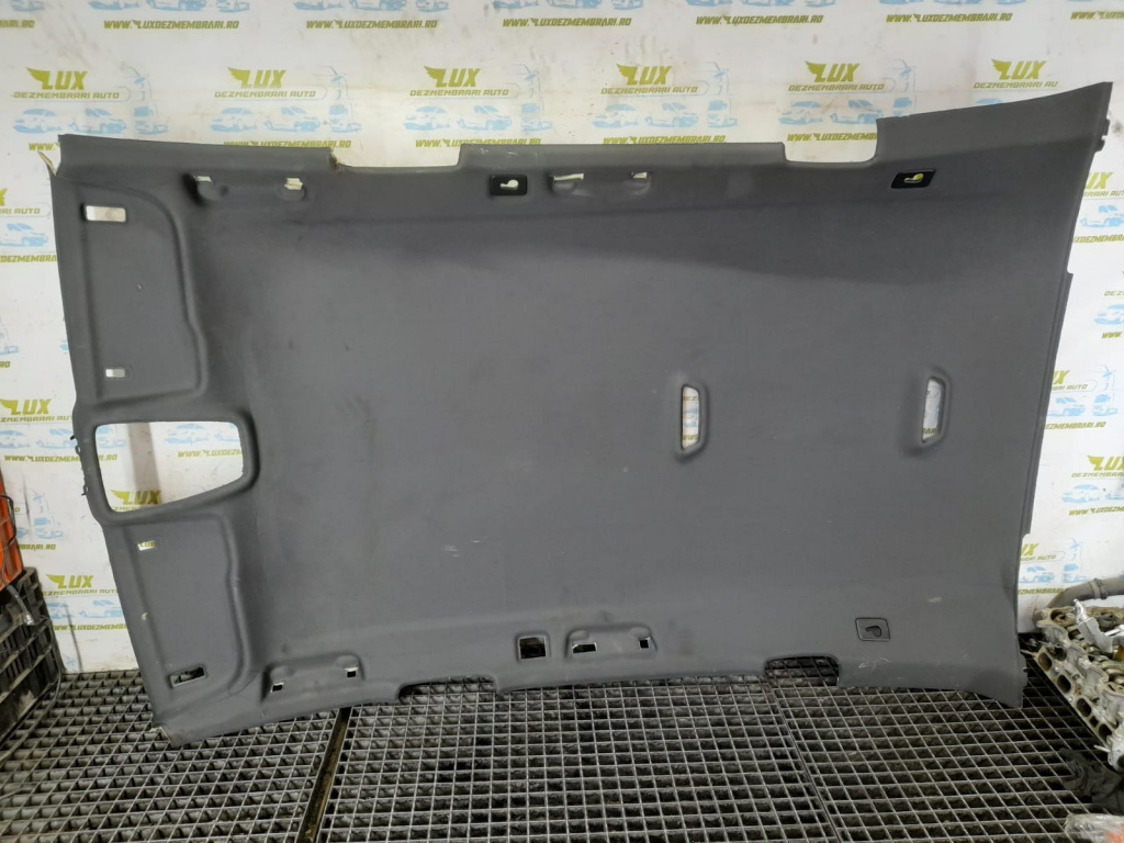 Plafon interior Audi Q7 4M [2015 - 2020]