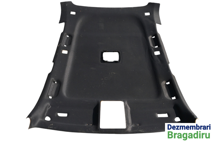 Plafon interior BMW X5 E53 [1999 - 2003] Crossover 3.0 d AT (184 hp)