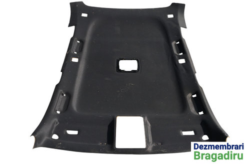 Plafon interior BMW X5 E53 [1999 - 2003] Crossover 3.0 d AT (184 hp)