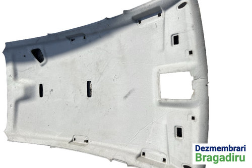 Plafon interior Ford C-Max [2003 - 2007] Minivan 1.6 TDCi MT (109 hp)