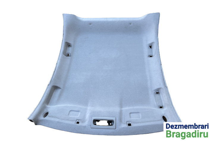 Plafon interior Ford Focus 2 [2004 - 2008] Hatchback 5-usi 1.6 TDCi MT (109 hp)