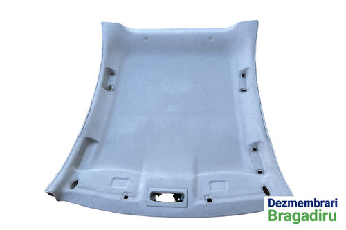 Plafon interior Ford Focus 2 [2004 - 2008] Hatchback 5-usi 1.6 TDCi MT (109 hp)