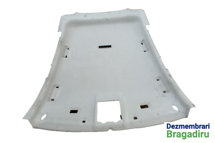 Plafon interior Ford Kuga [2008 - 2013] Crossover 2.0 TDCi MT AWD (140 hp) Cod motor: UFDA Euro 5