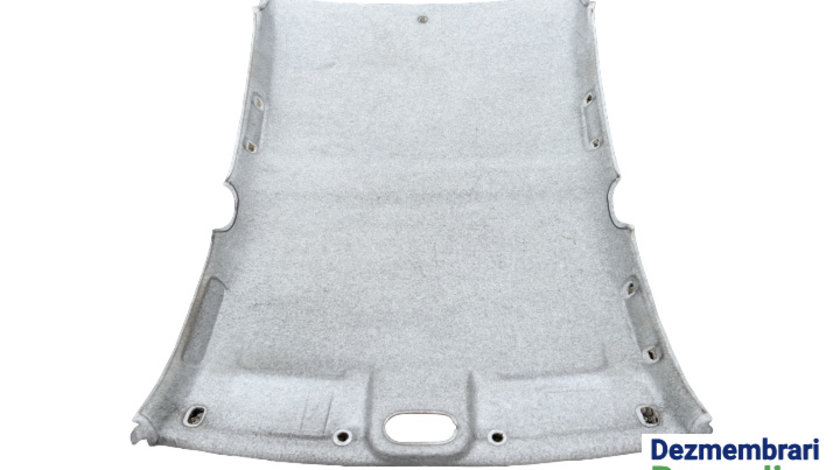 Plafon interior Renault Clio 2 [1998 - 2005] Symbol Sedan 1.5 dCi MT (65 hp)