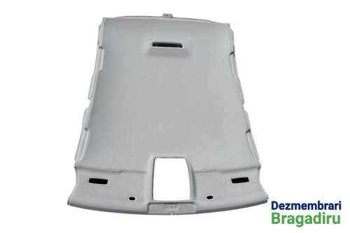 Plafon interior Seat Exeo [2009 - 2012] Sedan 2.0 TDI MT (143 hp) Cod motor: CAGA, Cod culoare: LW7X