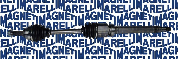 Planetara Axa fata dreapta (302004190060 MAGNETI MARELLI) FORD