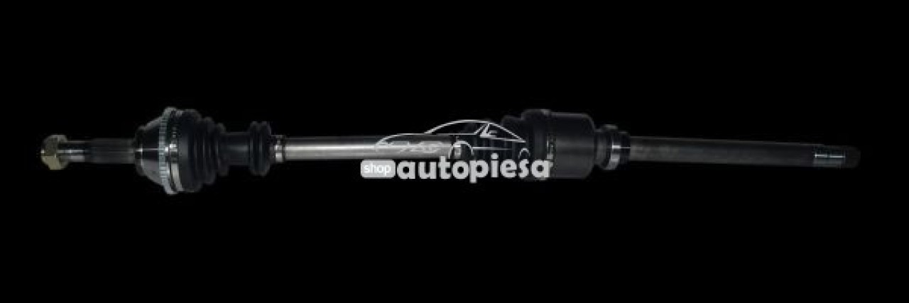 Planetara FIAT DUCATO caroserie (230L) (1994 - 2002) RINGER 1131006022 piesa NOUA