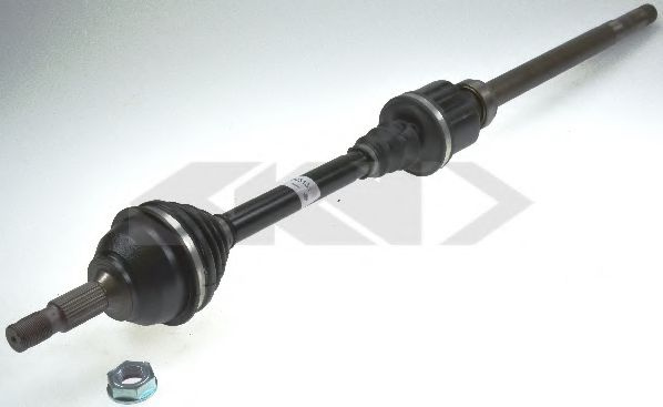 Planetara FIAT SCUDO (272, 270) (2007 - 2016) SPIDAN 24873 piesa NOUA