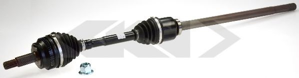 Planetara RENAULT MASTER II caroserie (FD) (1998 - 2010) SPIDAN 21554 piesa NOUA