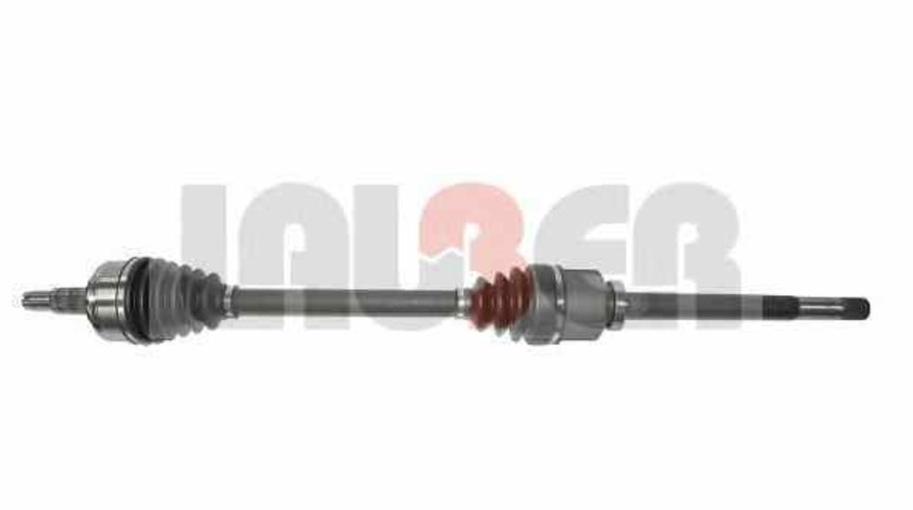 Planetara RENAULT MASTER III caroserie FV LAUBER 88.2636