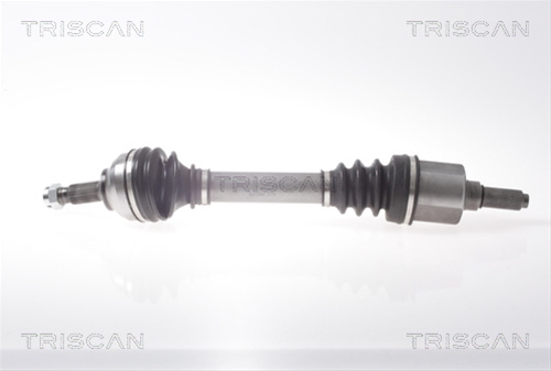 Planetara Triscan Citroën 8540 38569
