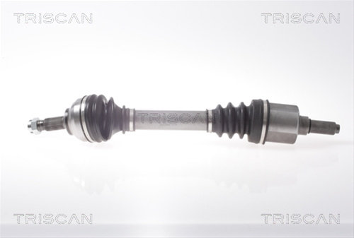 Planetara Triscan Citroën 8540 38569
