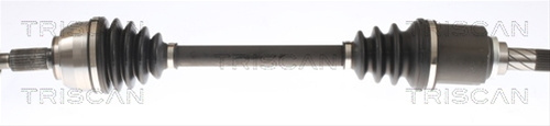 Planetara Triscan Dacia 8540 25704