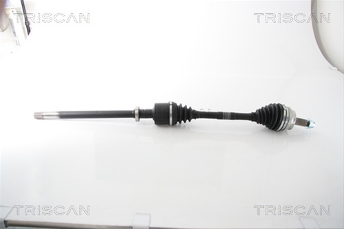 Planetara Triscan Nissan 8540 25664