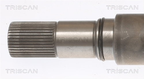 Planetara Triscan Vw 8540 295022
