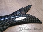 Pleoape din Carbon BMW serie 3 E 46 nfl