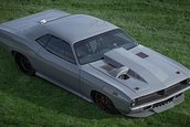 Plymouth 'Cuda Torc