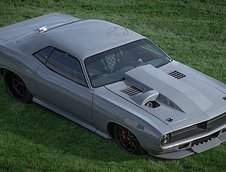 Plymouth 'Cuda Torc