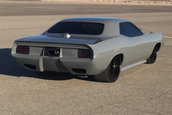 Plymouth 'Cuda Torc