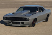 Plymouth 'Cuda Torc