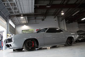 Plymouth 'Cuda Torc