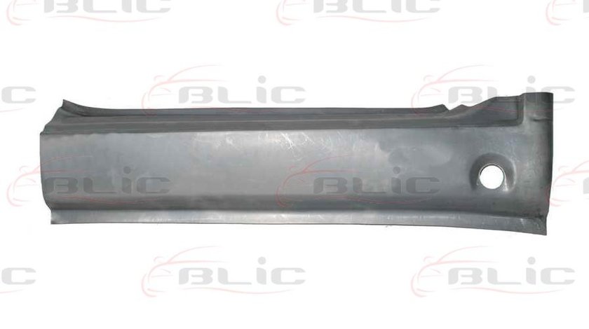 Podea MERCEDES-BENZ VITO Autobus 638 Producator BLIC 6505-06-3541002P