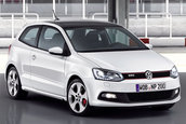 Polo GTI 2010