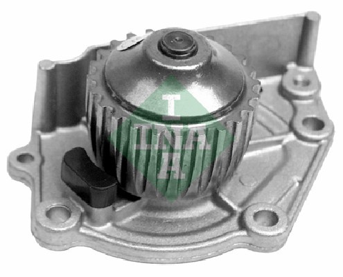 Pompa apa (538048410 INA) ROVER