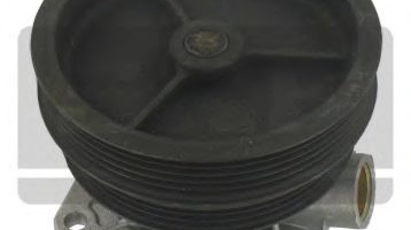 Pompa apa FIAT PALIO (178BX) (1996 - 2016) SKF VKPC 82441 piesa NOUA