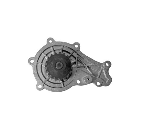 Pompa apa FORD FUSION (JU) (2002 - 2012) QWP WWP007 piesa NOUA