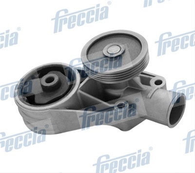 Pompa Apa - Freccia- Csnbb Freccia Skoda WP0368
