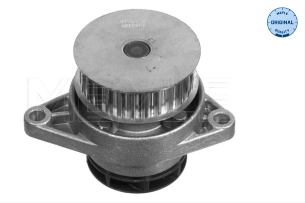 Pompa Apa Meyle Audi 113 012 0049